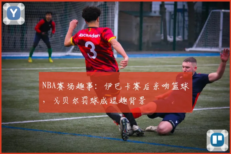 NBA赛场趣事：伊巴卡赛后亲吻篮球，戈贝尔罚球成逗趣背景