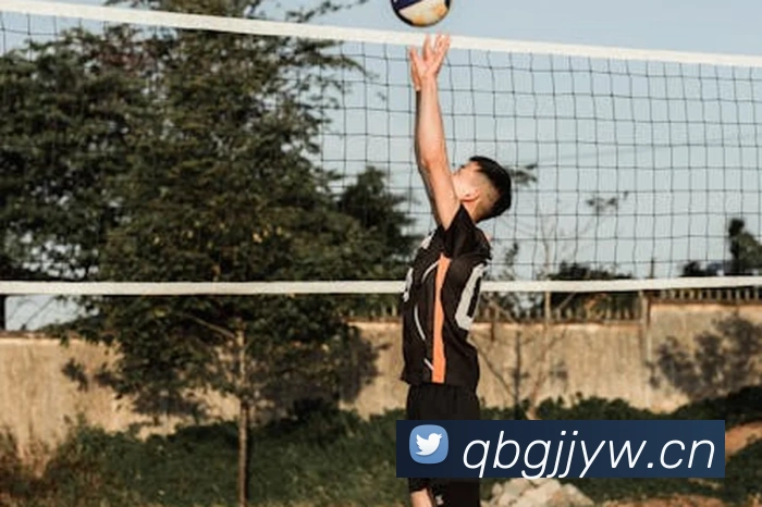 多媒体互动体验